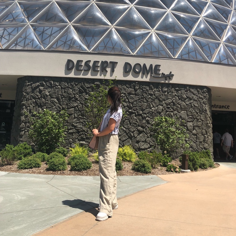 Fashionable striped button down